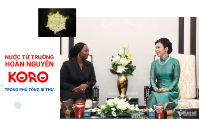 Nước từ trường hoàn nguyên Koro trong Phủ Tổng Bí thư