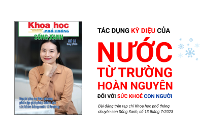 Tác dụng kỳ diệu của nước từ trường hoàn nguyên đối với sức khỏe con người