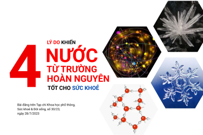 Bốn lý do khiến cho nước từ trường hoàn nguyên tốt cho sức khoẻ