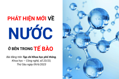 Phát hiện mới về nước ở bên trong tế bào
